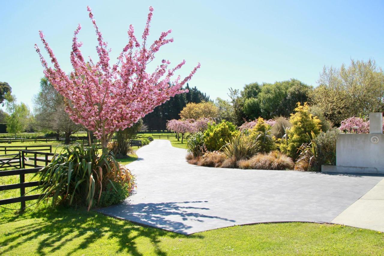 Silverstream Alpaca Farmstay & Tour Kaiapoi Exterior photo